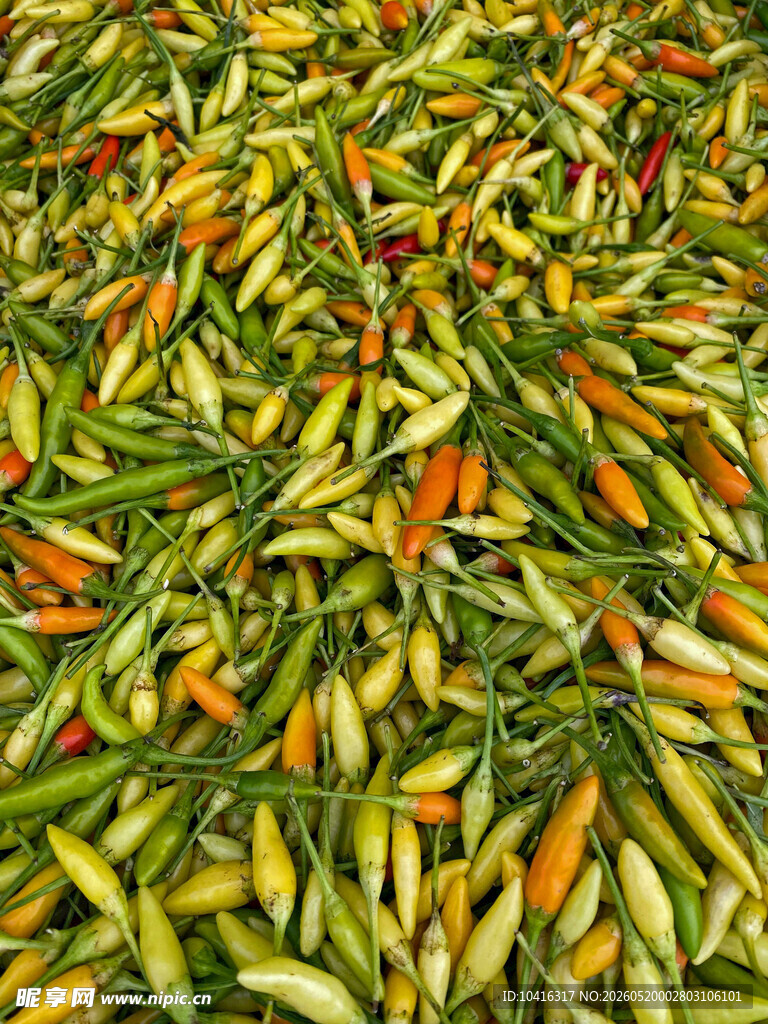 一堆小米椒