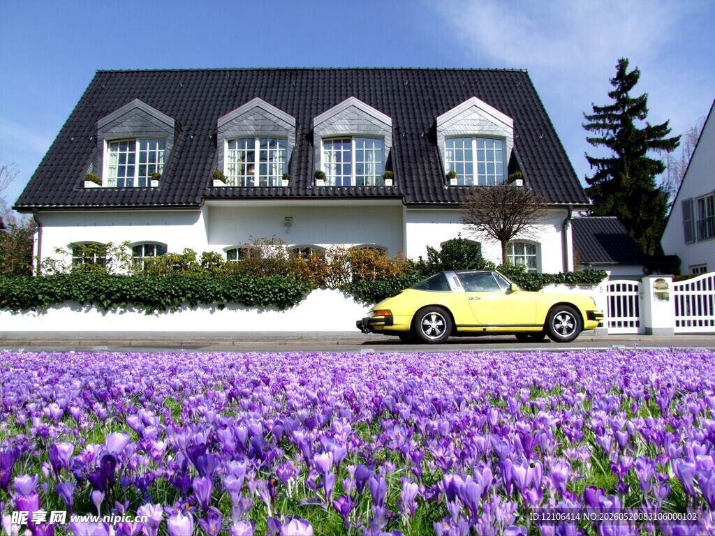 花海中的小屋与黄色汽车