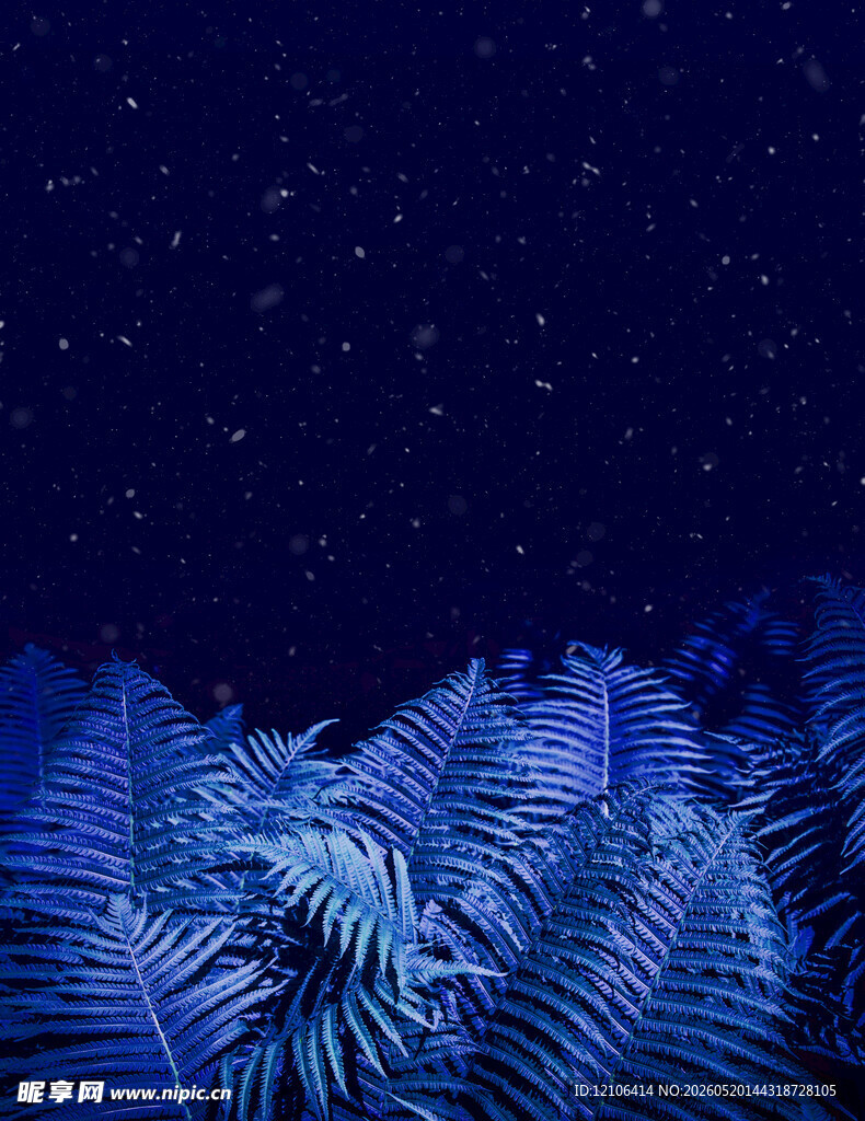 梦幻蓝调星空下的蕨类植物