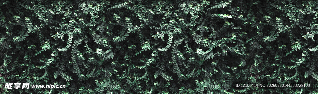 茂密绿色植物纹理背景