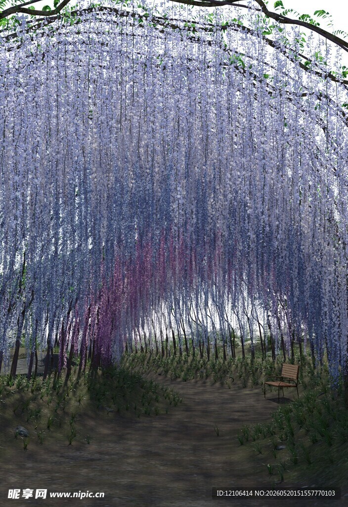 梦幻紫藤花隧道美景