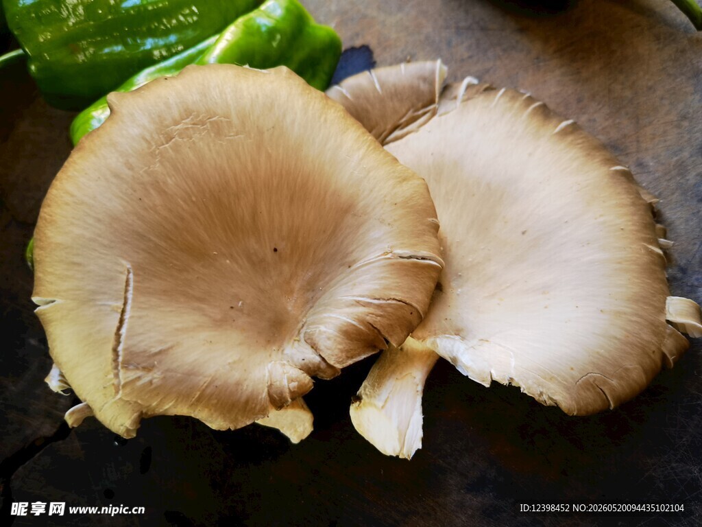 新鲜平菇特写