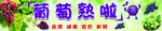 葡萄熟啦