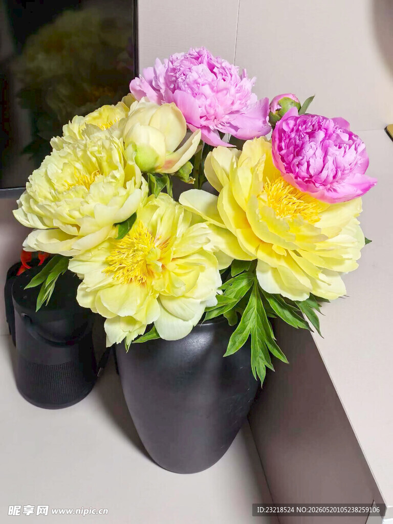 芍药
