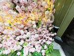 玫瑰花