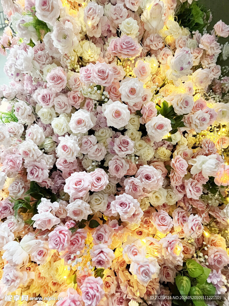 花卉