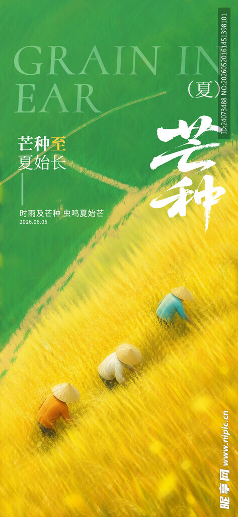 田野中多彩人物漫步画面