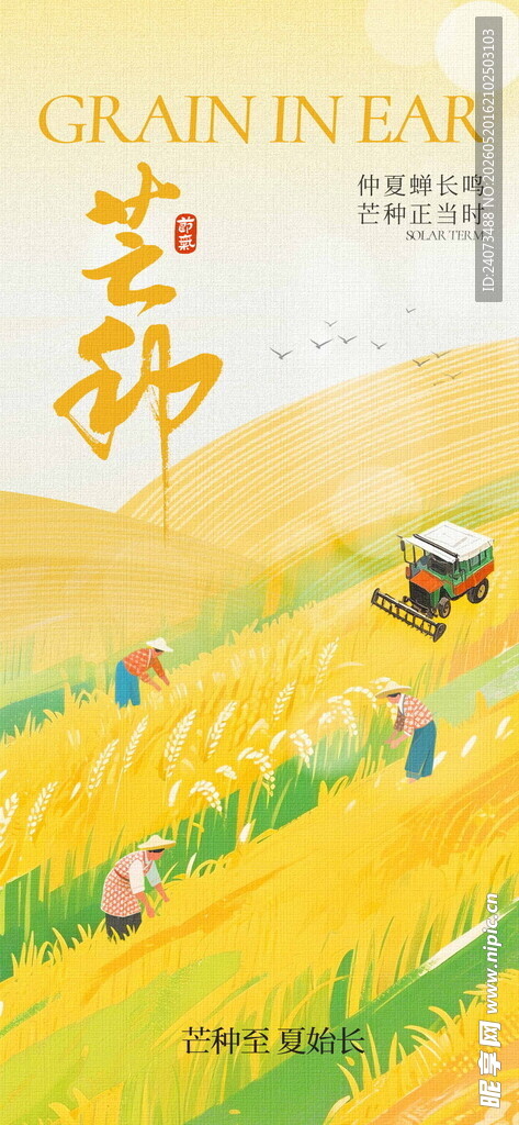 田野间的丰收劳作场景
