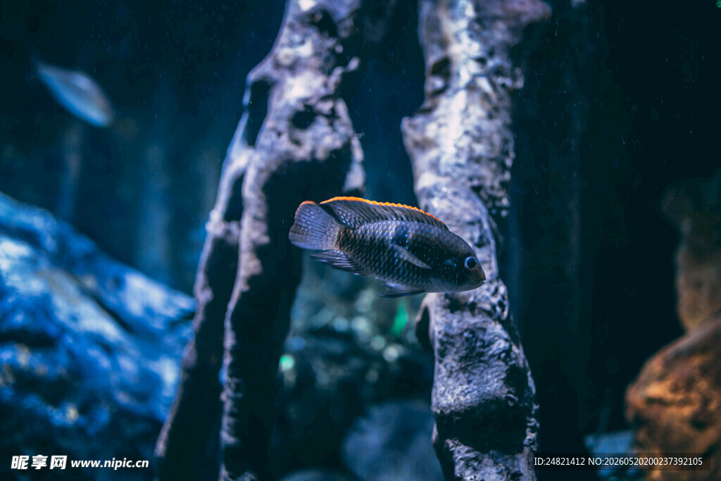 洞穴中奇特的钟乳石景观