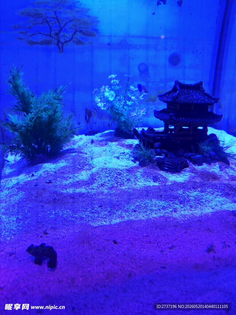 水族景观