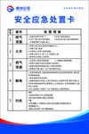 安全应急处置卡展示