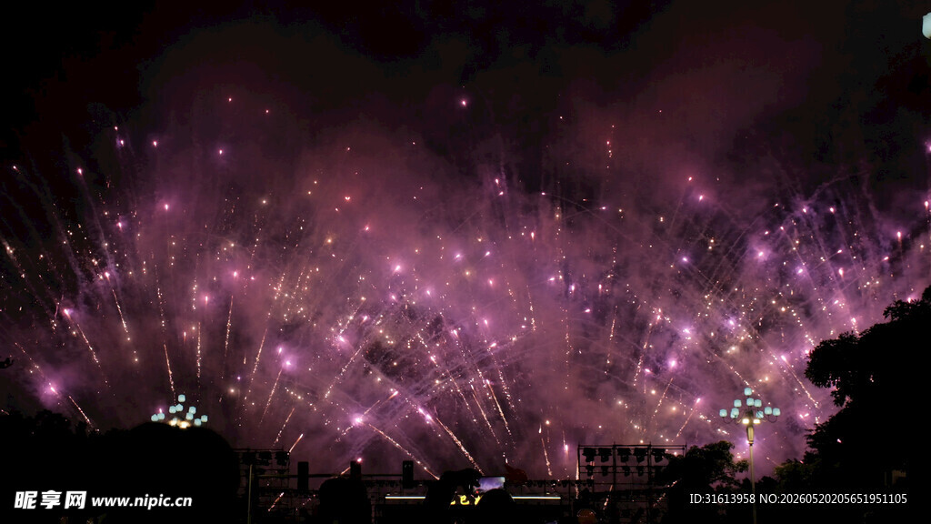 夜空中绚烂的紫色烟花绽放