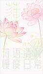 淡雅荷花绘惬意慢生活