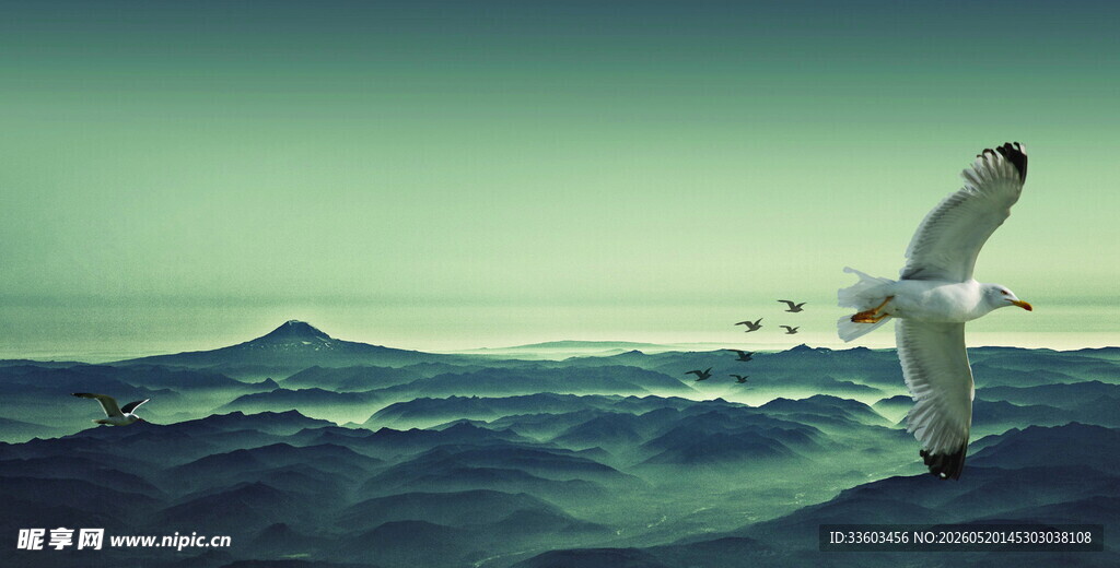 海空飞鸟壮阔自然之景