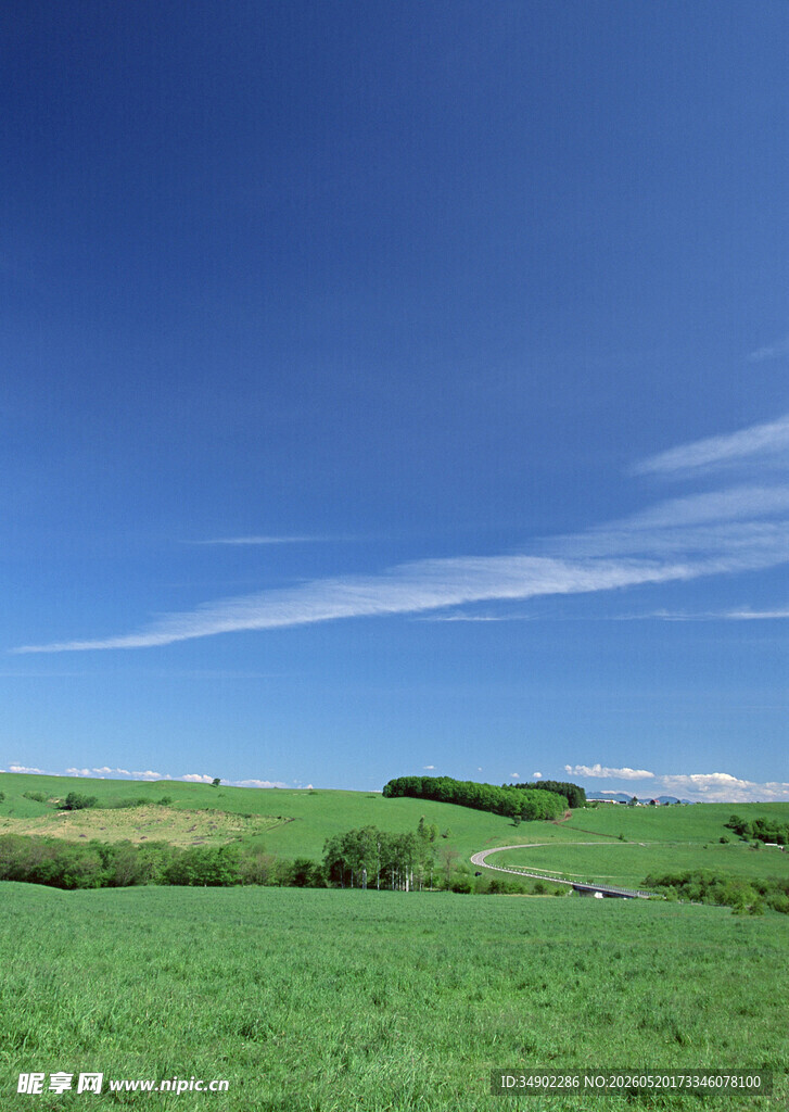 广袤绿野