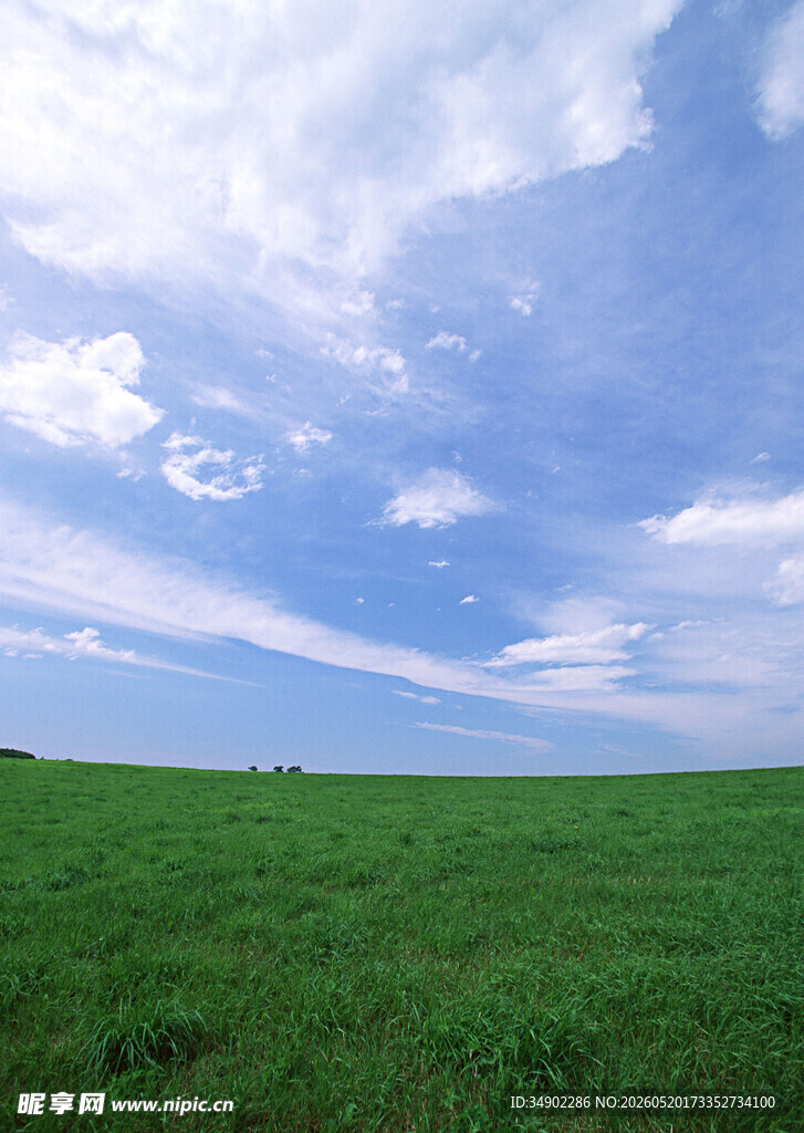 蓝天白云绿草地