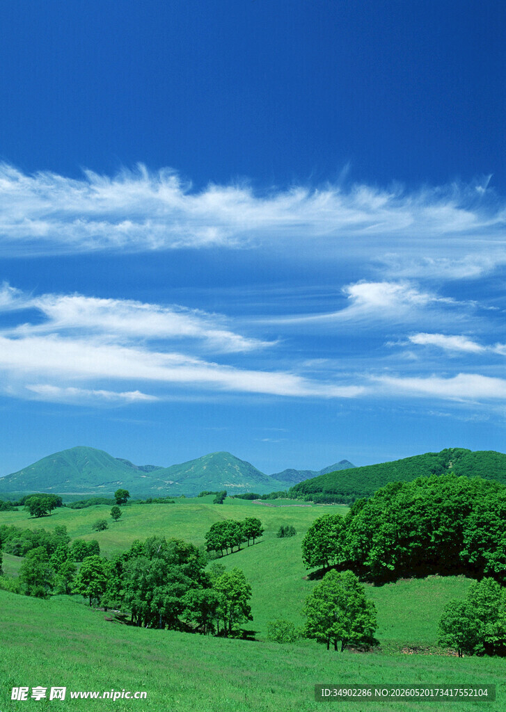 广袤绿野与蓝天白云美景
