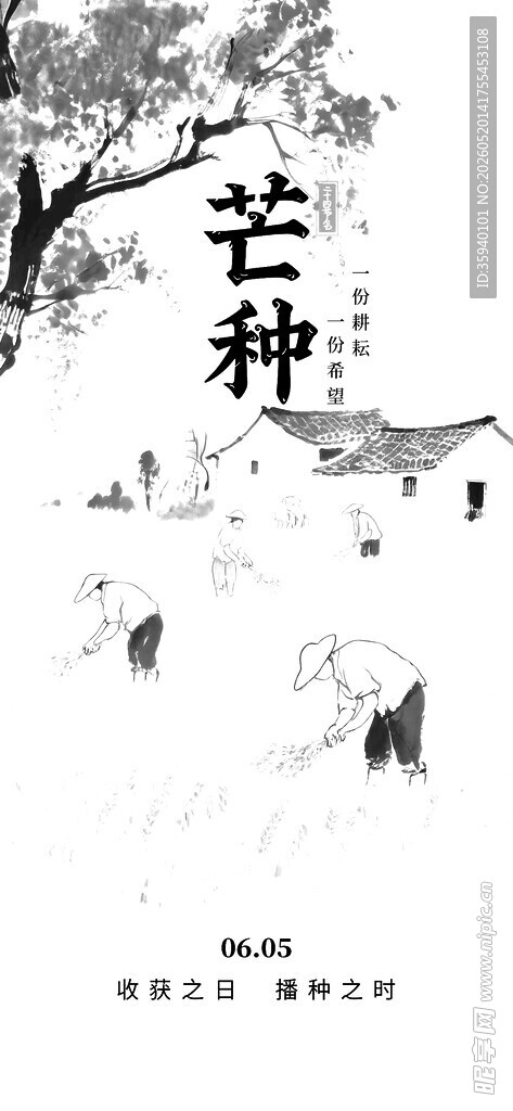 芒种
