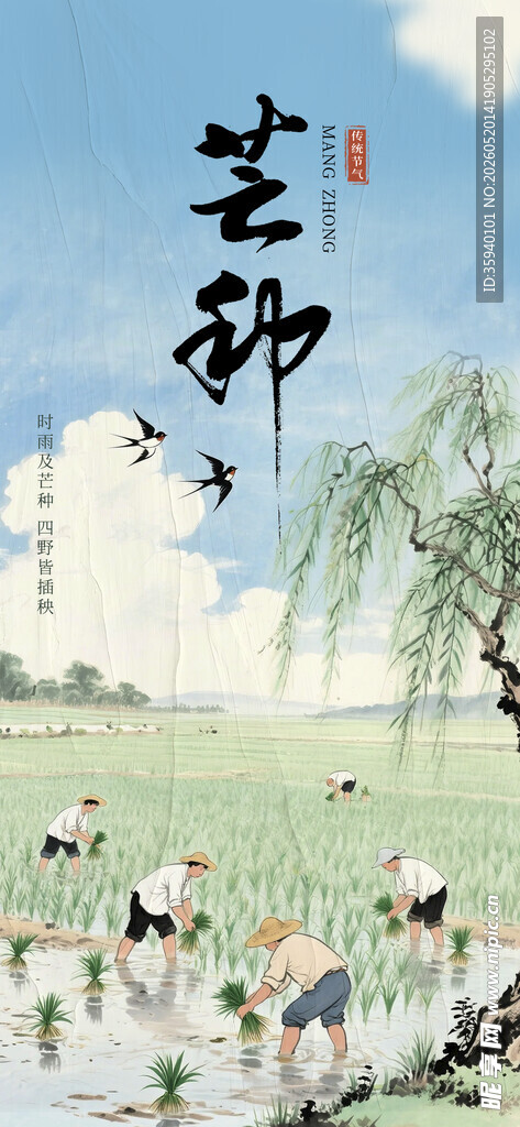 芒种