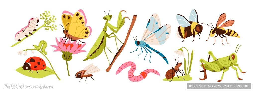 昆虫插画合集
