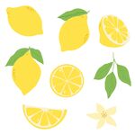 柠檬插画