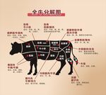 全牛分解图  牛肉一览图