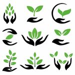 绿植手护素材
