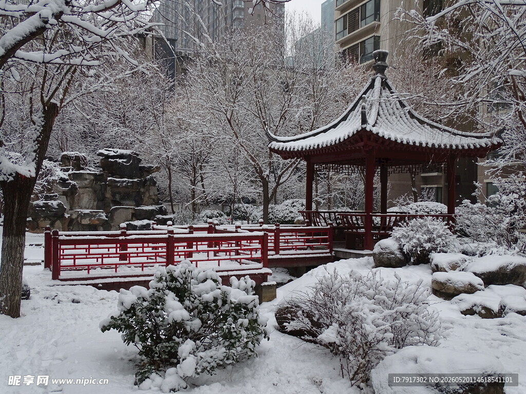 雪覆亭园景
