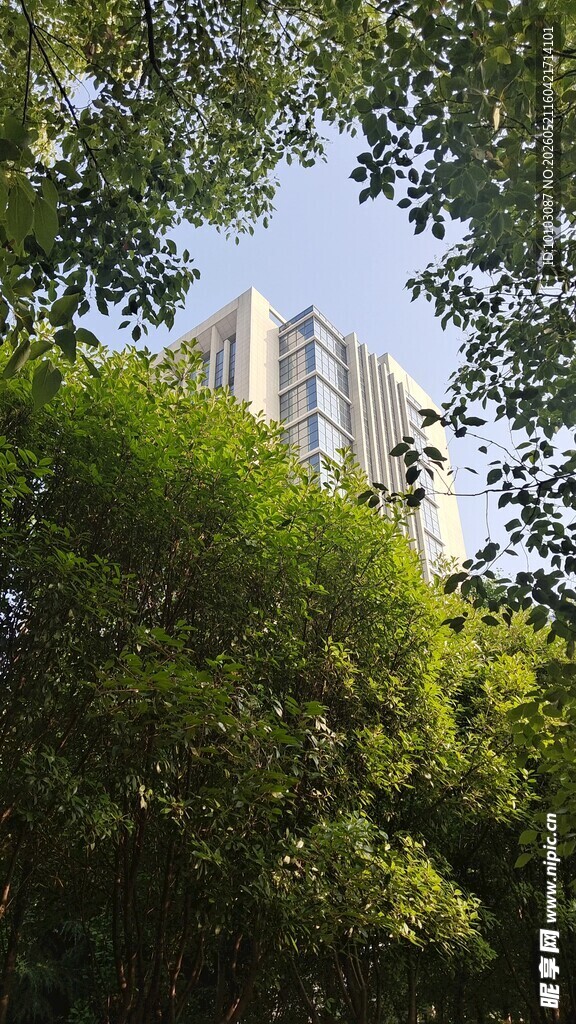 绿树掩映中的高楼