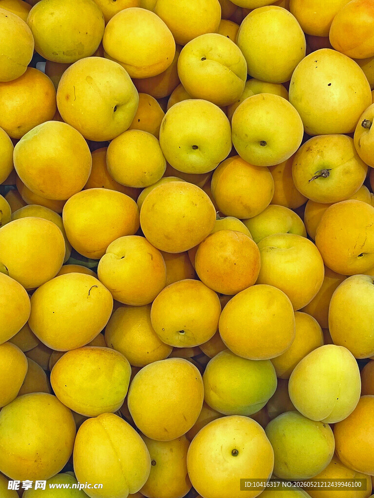 黄李子