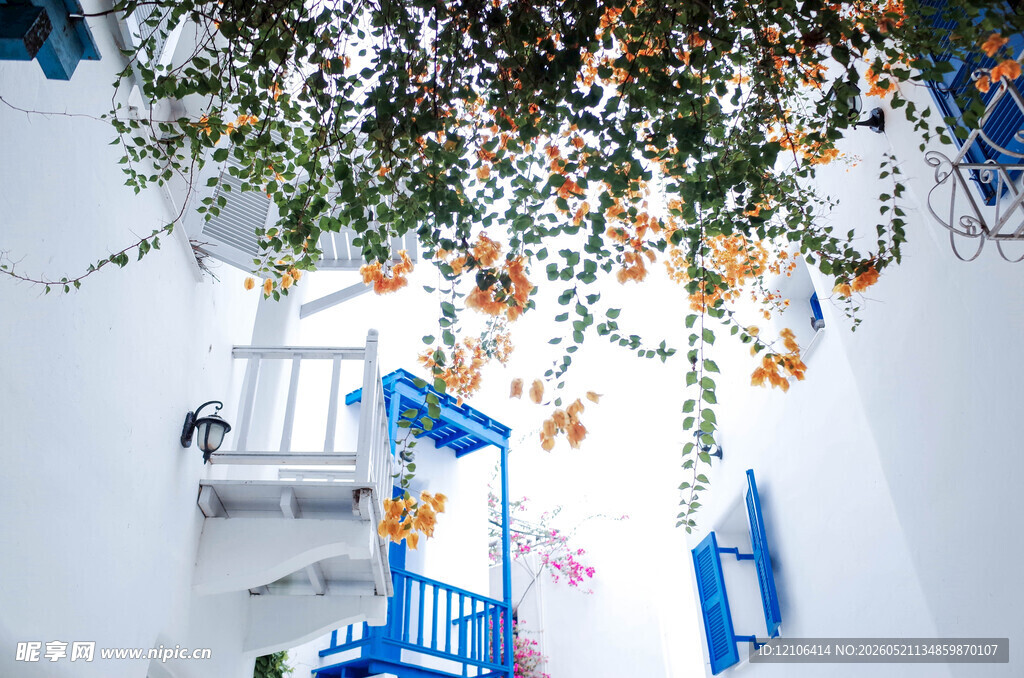蓝白小巷的浪漫绿植景致