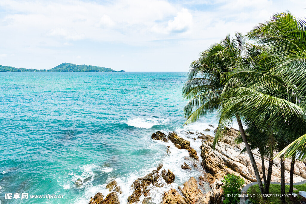 海边椰树与湛蓝海景