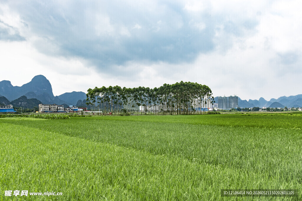 田园绿野风光远山含黛