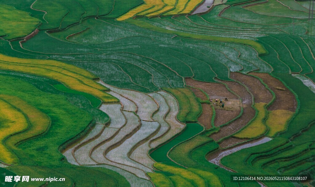 多彩梯田田园风光美景