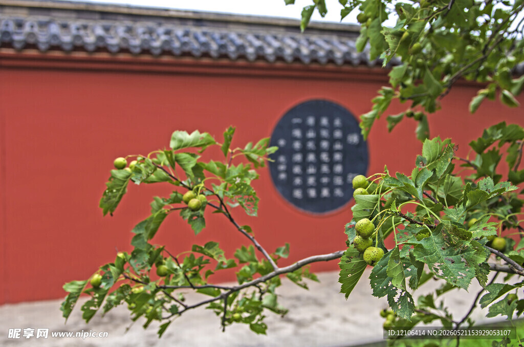 红墙绿植间的中式景致