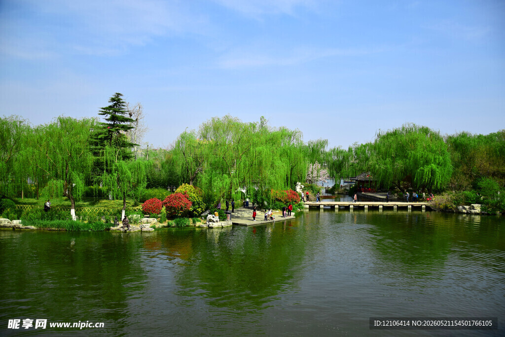 湖畔绿树繁花美景