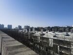 城市天际线与木质步道景观