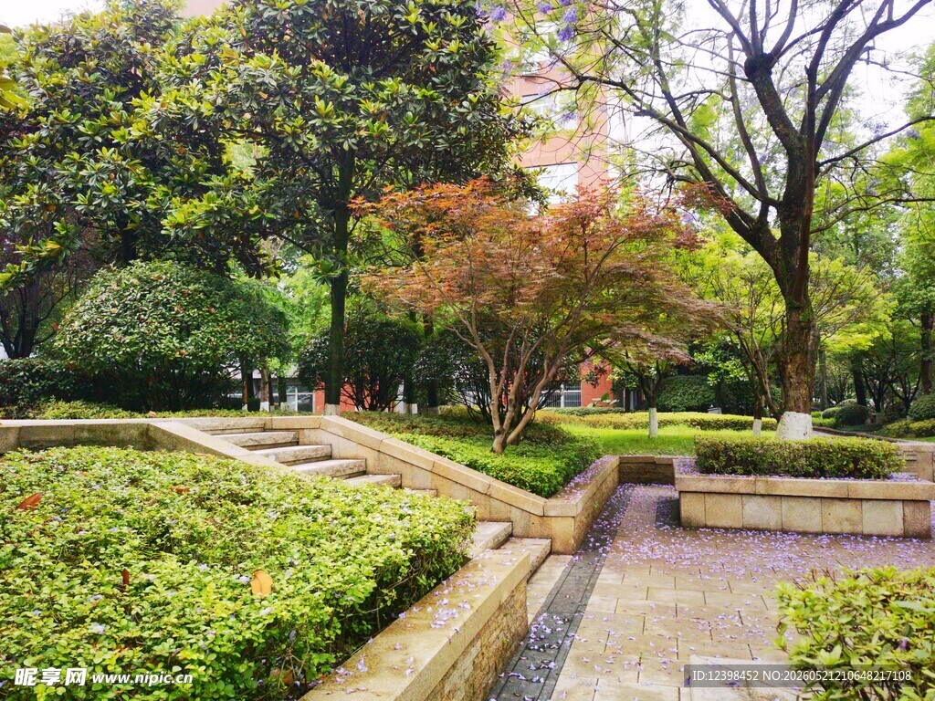 城市中的静谧花园景观