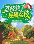 荔枝熟了 现摘荔枝海报