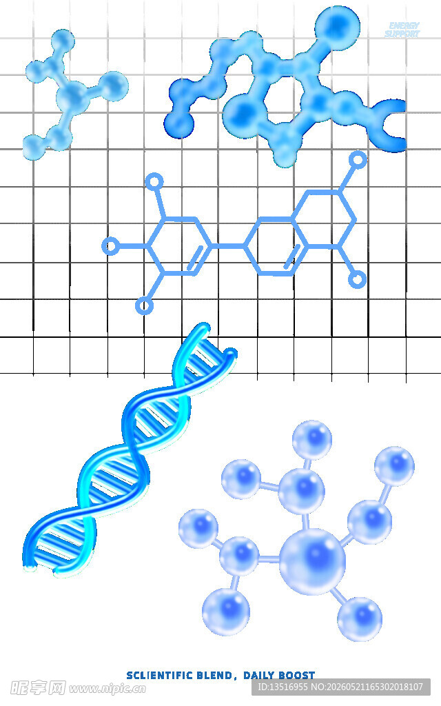 分子结构与DNA图示