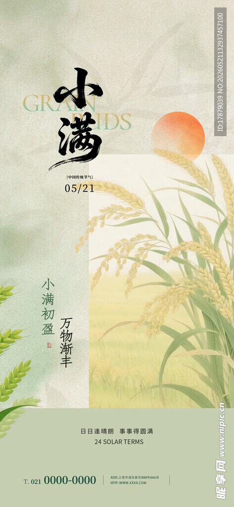 夏日小池边的清新景致