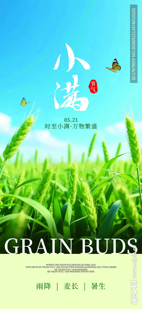 清新田园麦穗风景图