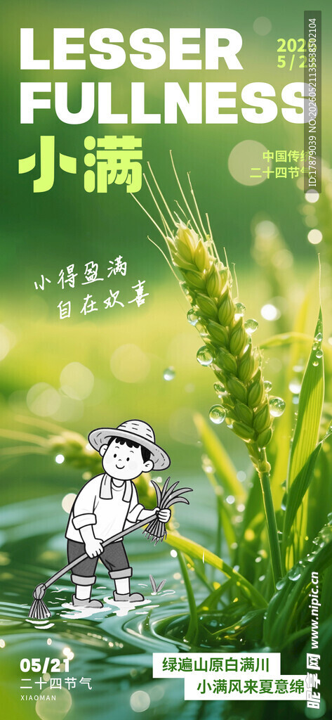 小满时节田园景象