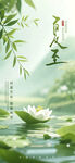 夏日荷塘诗意人生
