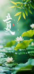 夏至时节 
