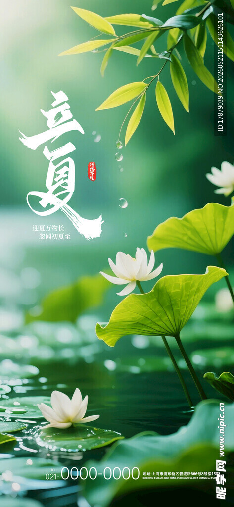 夏至时节 