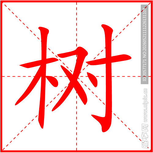 树字笔顺动态图GIF动画