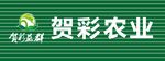 贺彩农业品牌标志展示