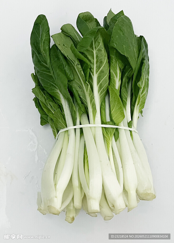 新鲜小白菜