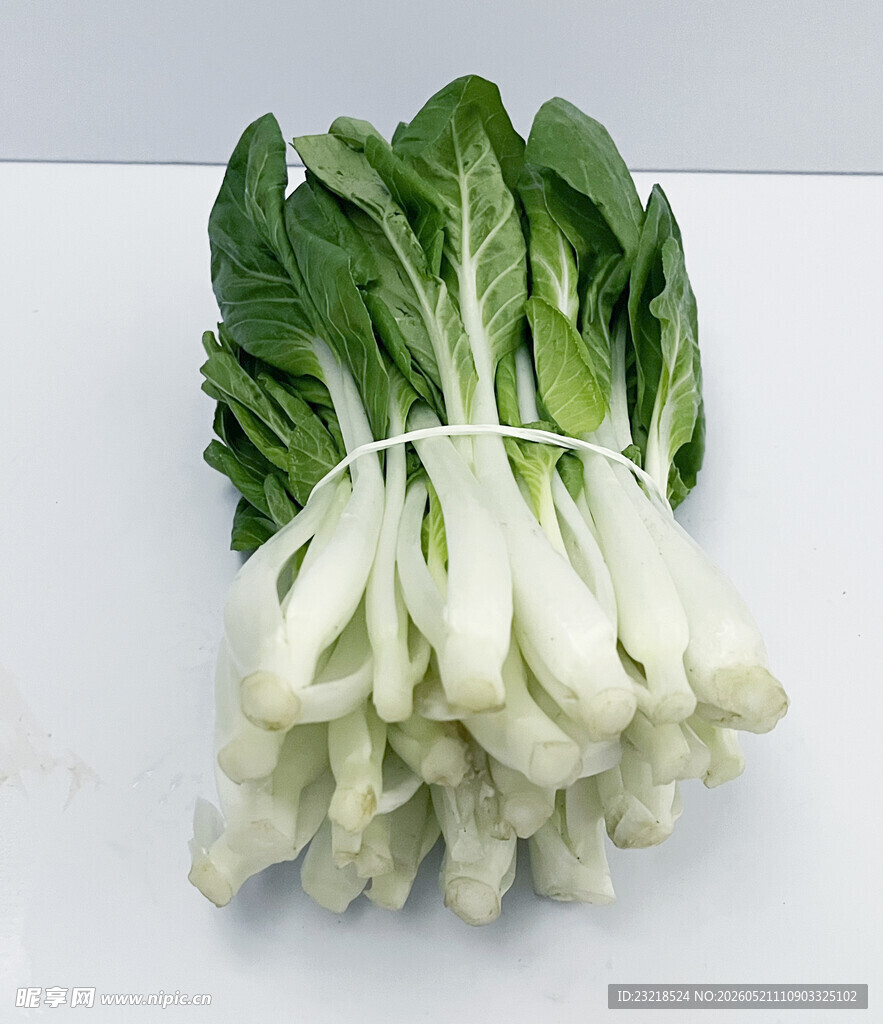 小白菜
